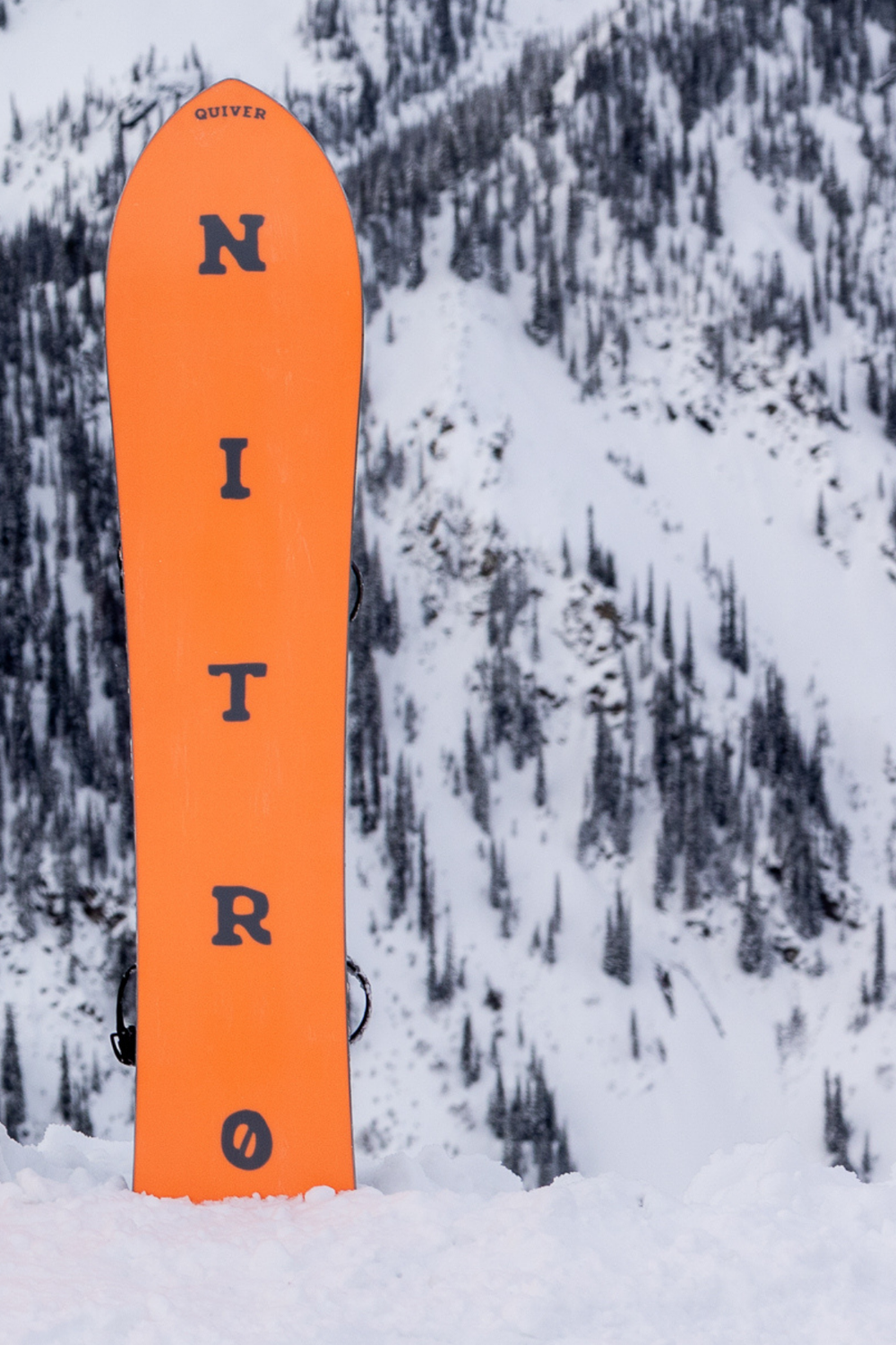 nitro bryan fox snowboard thegoodride Quiver Fintwin 2020 Nitro Bryan Fox Pro 2017