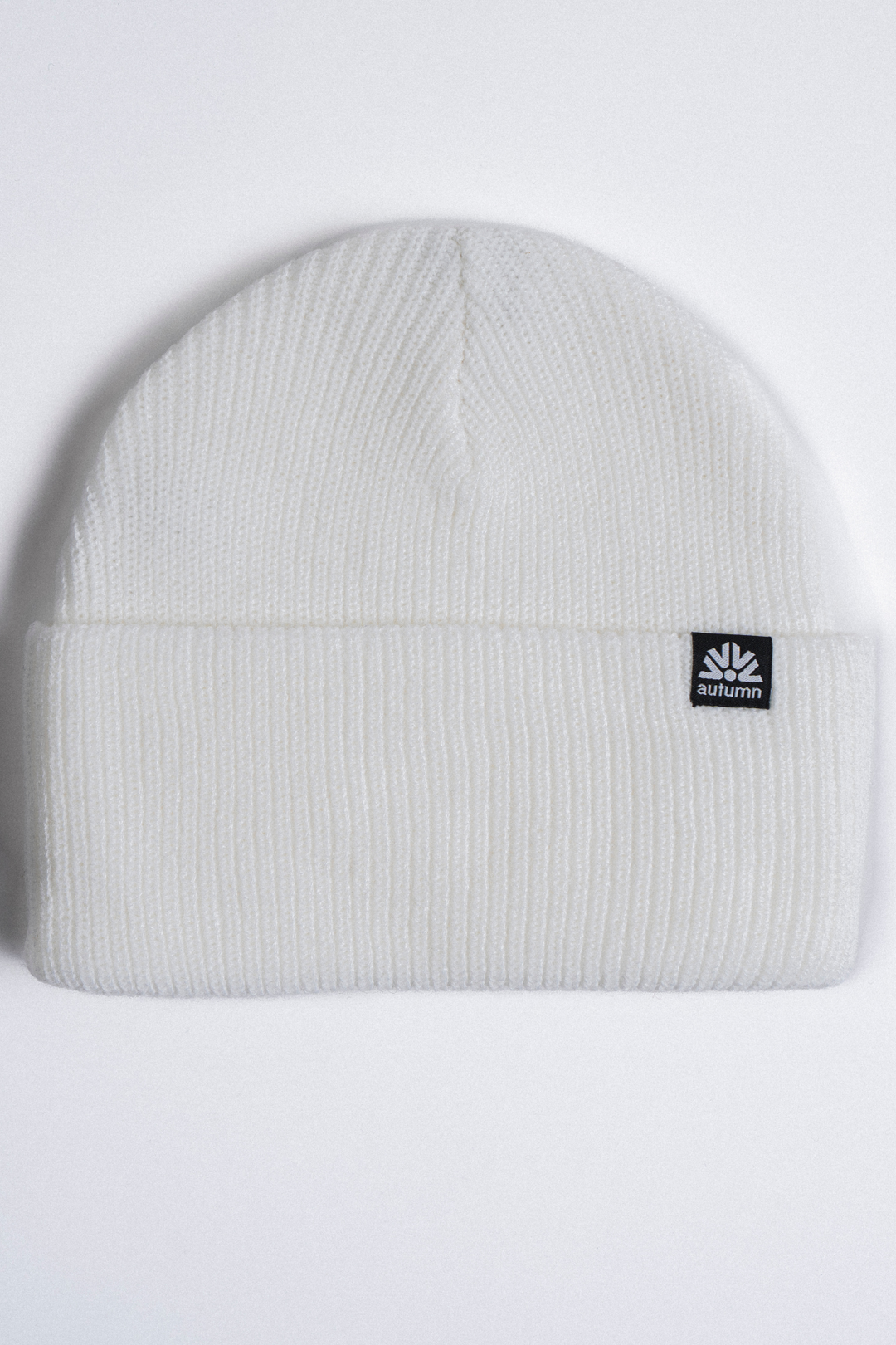 SIMPLE SOLID