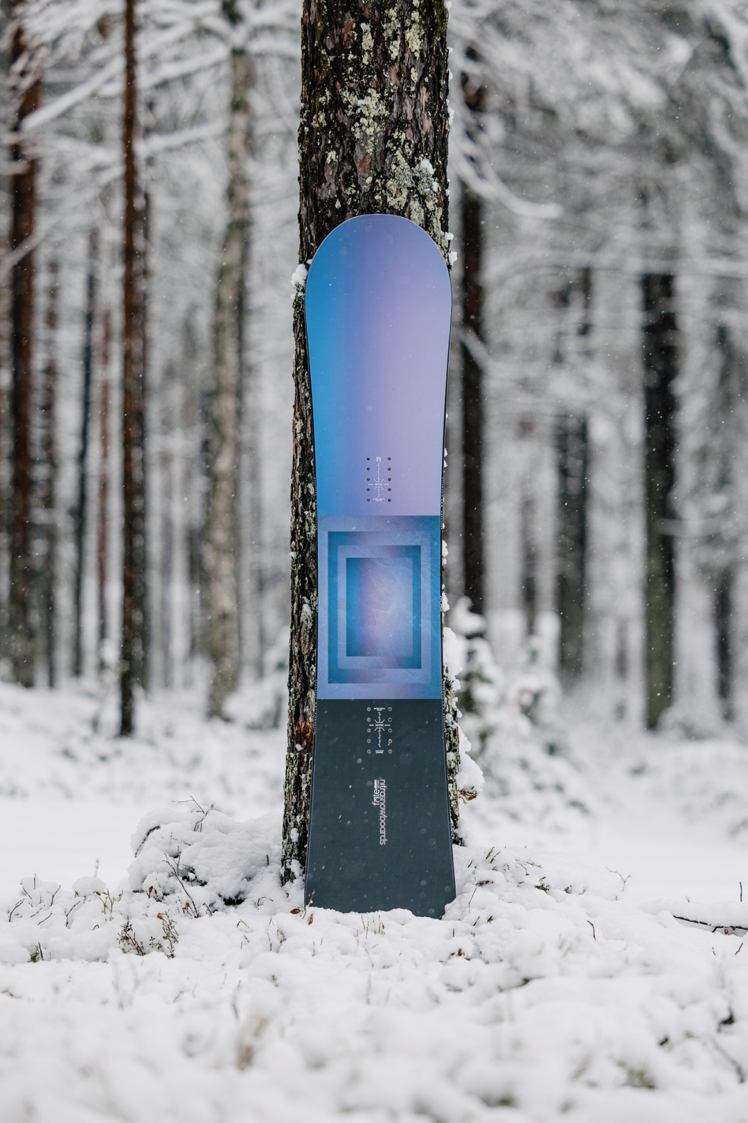 nitro fate snowboard FATE – Nitro Snowboards