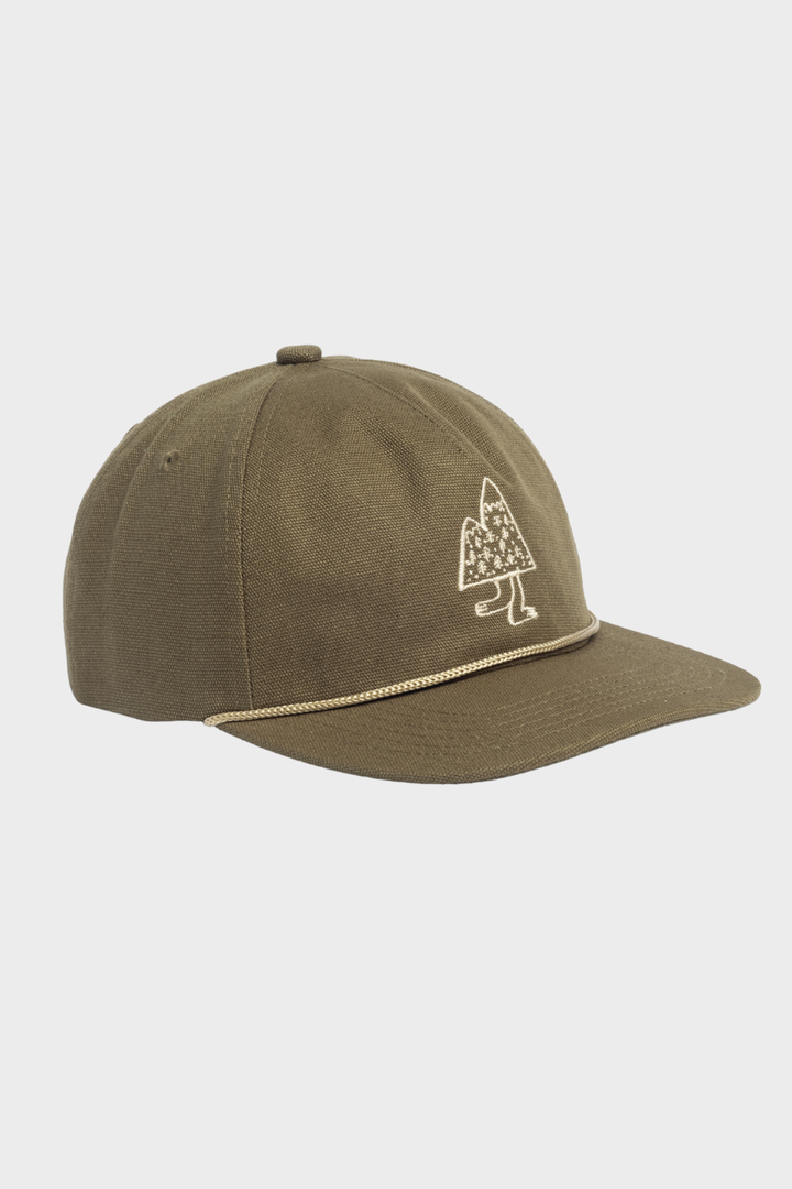 CANVAS 5 PANEL